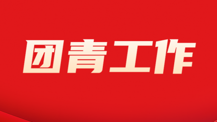 开云网页版团委组织开展“国家安全 青春挺膺”主题团日活动